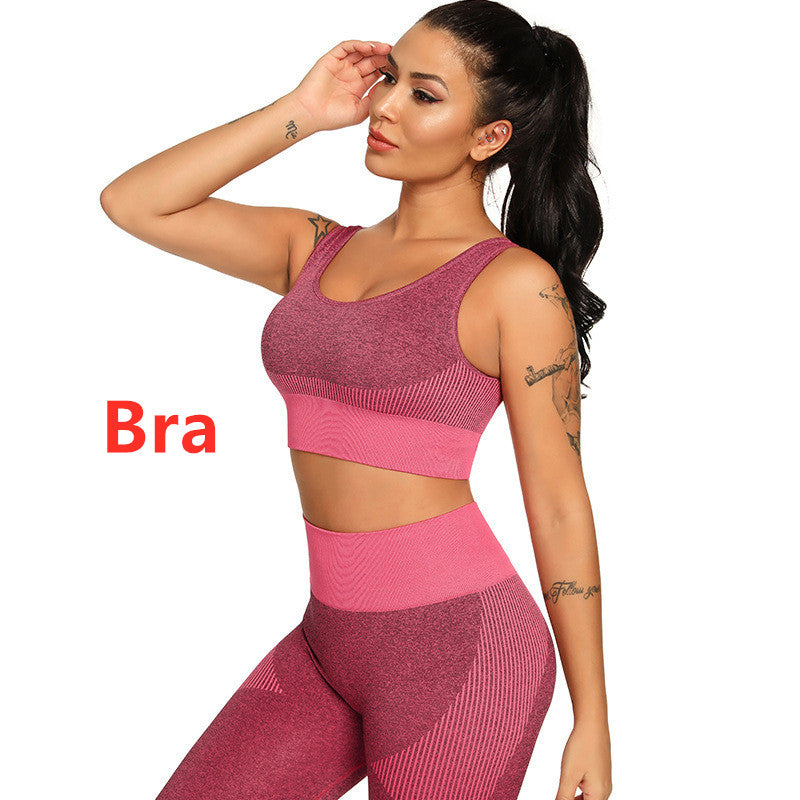 Yoga Set 2 Piece Women Tracksuit Fitness Suit Bra