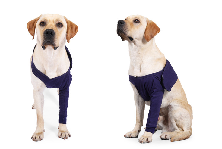 New Anti-licking Sleeve For Postoperative Recovery Of Dog Legs Pet